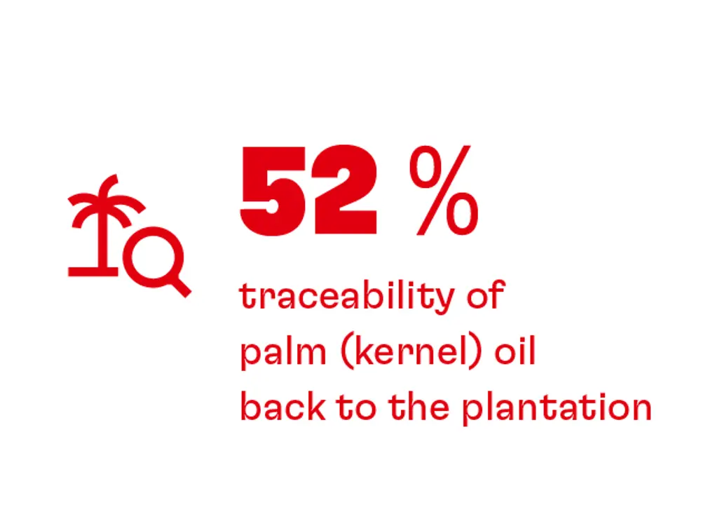 20230228-he-nb22-web-kpi-palmoel-bis-plantage