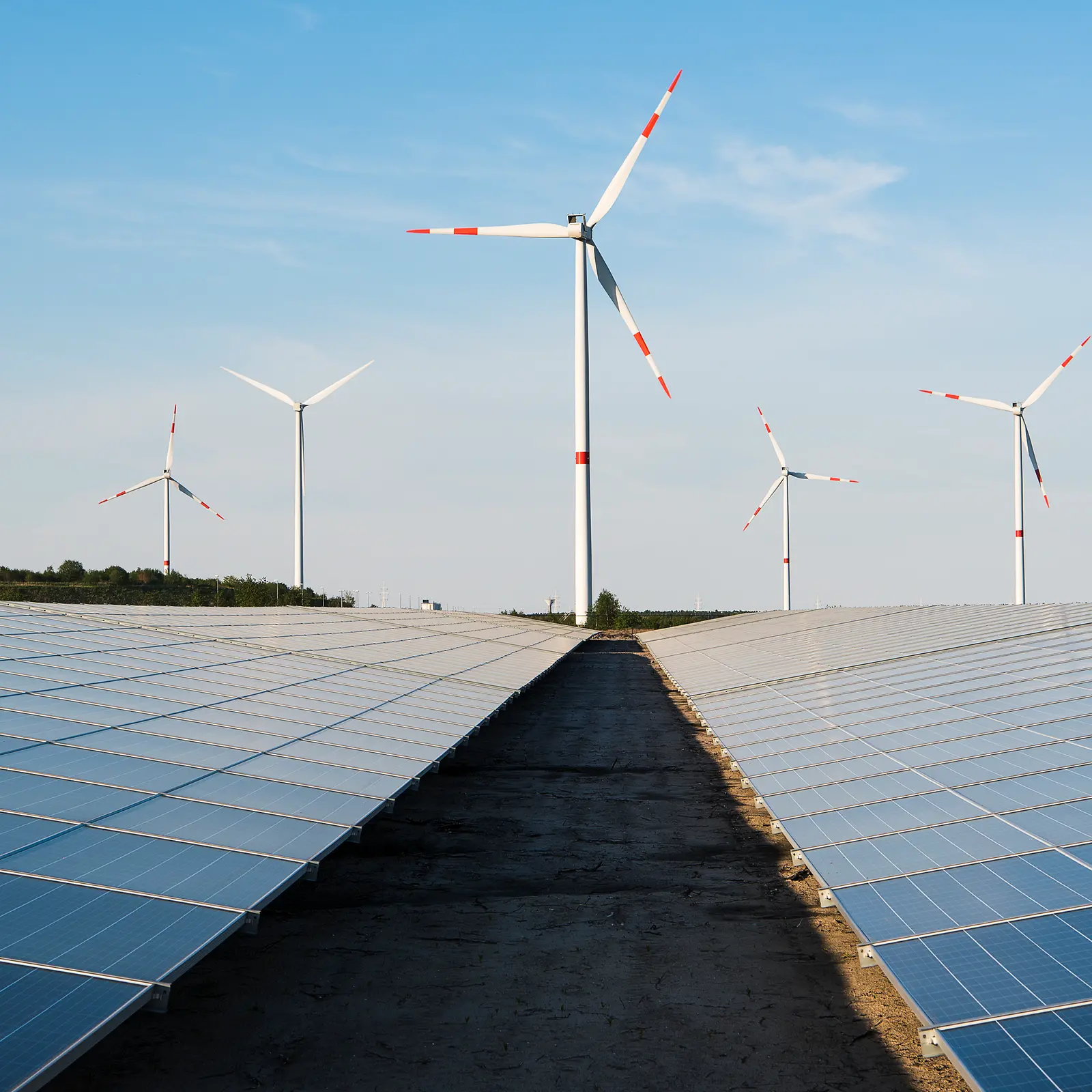 Solar panels and wind turbines