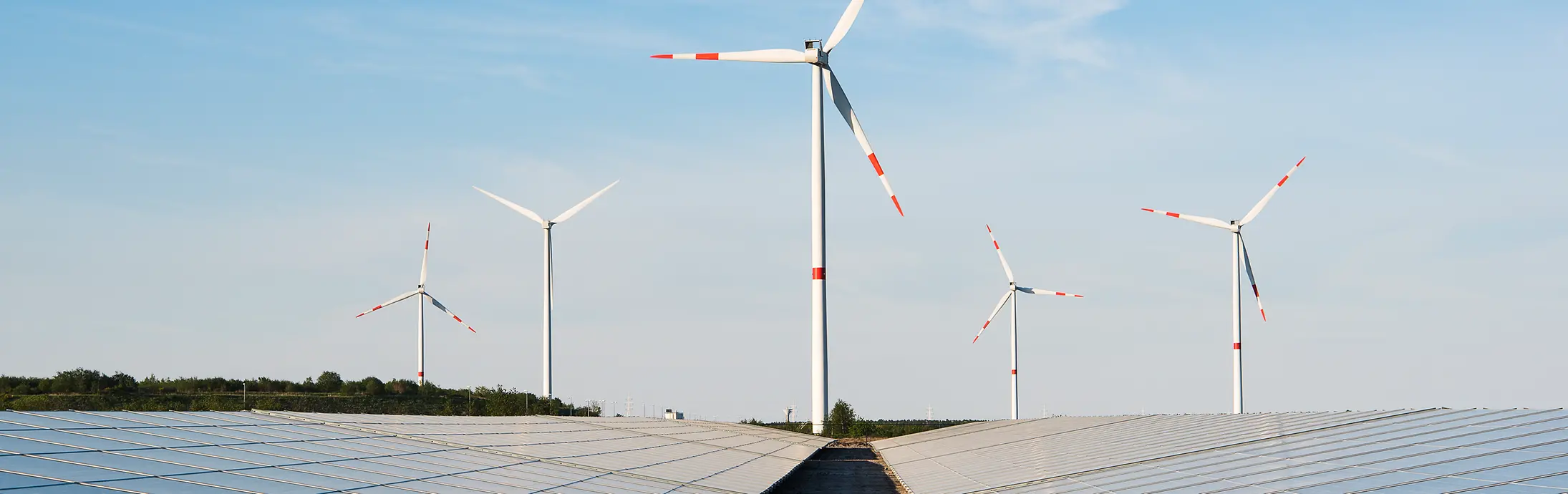 Solar panels and wind turbines